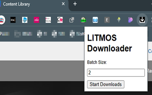LITMOS Downloader  from Chrome web store to be run with OffiDocs Chromium online