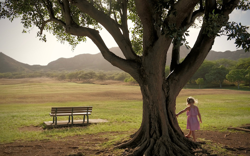 Little girl playing by the tree  from Chrome web store to be run with OffiDocs Chromium online