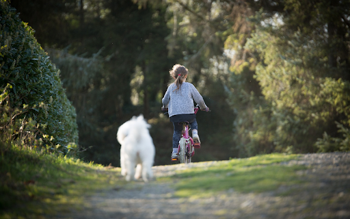 Little girl riding a bicycle  from Chrome web store to be run with OffiDocs Chromium online