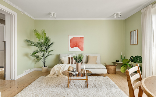 Living room shag carpet  from Chrome web store to be run with OffiDocs Chromium online