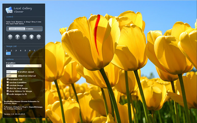 LocalGalleryViewerExtension  from Chrome web store to be run with OffiDocs Chromium online