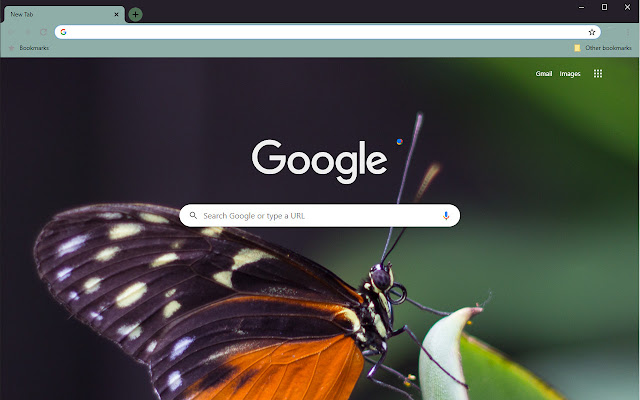 Lone Butterfly  from Chrome web store to be run with OffiDocs Chromium online