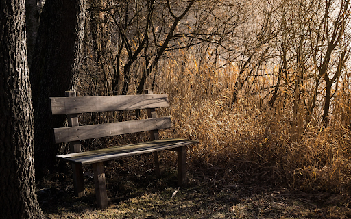 Lonely chair  from Chrome web store to be run with OffiDocs Chromium online