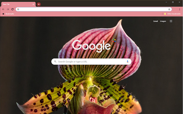 Lone Orchid II  from Chrome web store to be run with OffiDocs Chromium online