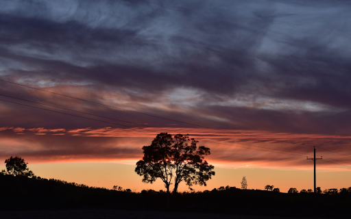 Lone Tree at Sunset with Power Lines  from Chrome web store to be run with OffiDocs Chromium online