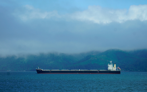 Long ship on the river  from Chrome web store to be run with OffiDocs Chromium online