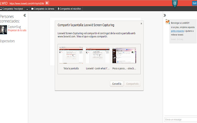 Loowid Multidomain Screen Capturing  from Chrome web store to be run with OffiDocs Chromium online