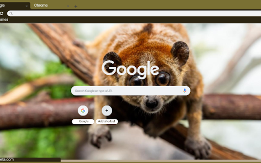 Loris  from Chrome web store to be run with OffiDocs Chromium online