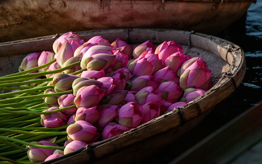 Lotus boat  from Chrome web store to be run with OffiDocs Chromium online