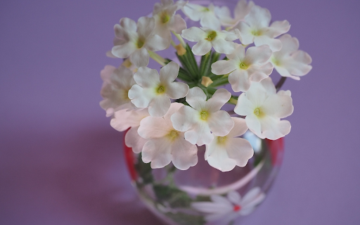 Lovely flower vase  from Chrome web store to be run with OffiDocs Chromium online