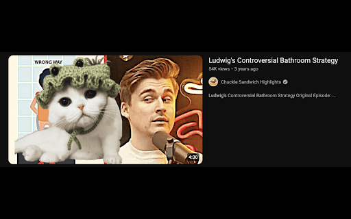 Ludwigify  from Chrome web store to be run with OffiDocs Chromium online