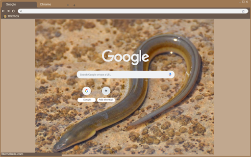 Luon  from Chrome web store to be run with OffiDocs Chromium online