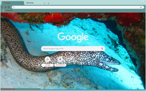 Luon bien  from Chrome web store to be run with OffiDocs Chromium online