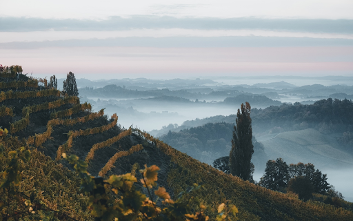 Lush Green Grape Hills  from Chrome web store to be run with OffiDocs Chromium online