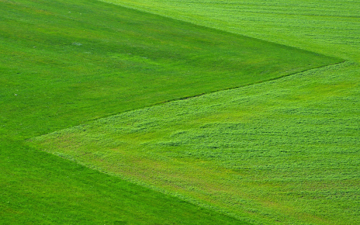 Lush green grass  from Chrome web store to be run with OffiDocs Chromium online