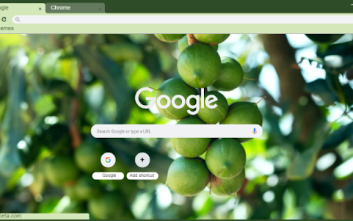 Macadamia Tree  from Chrome web store to be run with OffiDocs Chromium online