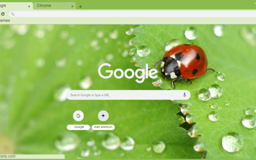 Macro Ladybug on Leaf  from Chrome web store to be run with OffiDocs Chromium online