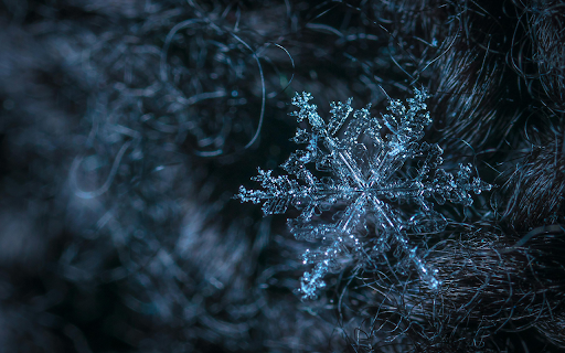 Macro Photography of Snowflake  from Chrome web store to be run with OffiDocs Chromium online