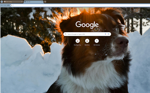 Macu the Snow Dog at dawn in the forest  from Chrome web store to be run with OffiDocs Chromium online