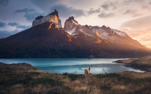 Majestic Mountains and Grazing Guanaco at Sunset  from Chrome web store to be run with OffiDocs Chromium online