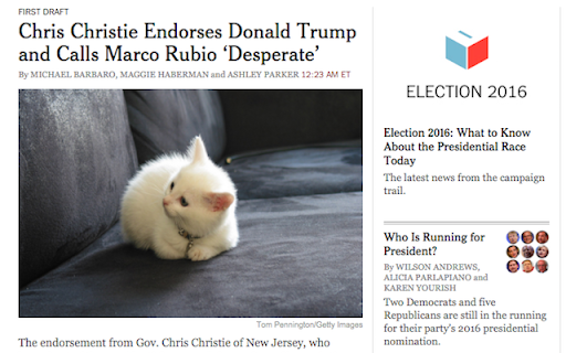 Make America Kittens Again  from Chrome web store to be run with OffiDocs Chromium online