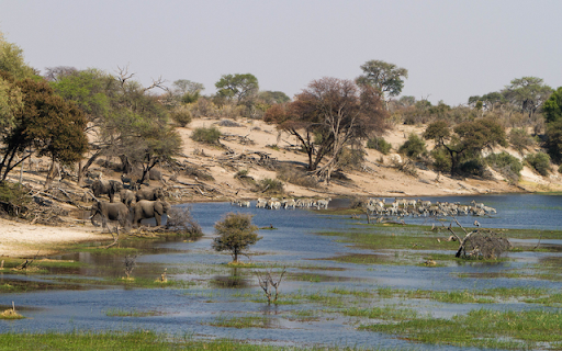 Makgadikgadi  from Chrome web store to be run with OffiDocs Chromium online