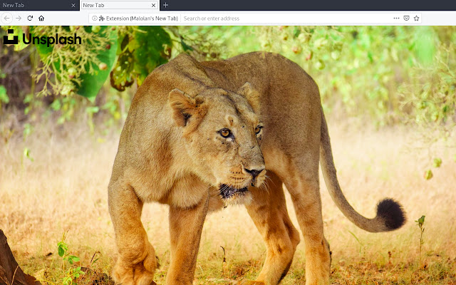 Malolans New Tab  from Chrome web store to be run with OffiDocs Chromium online