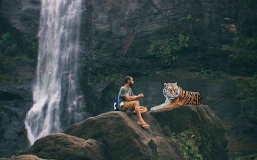 man and tiger  from Chrome web store to be run with OffiDocs Chromium online