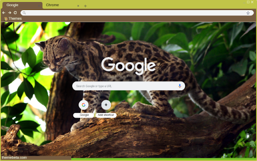 Margay  from Chrome web store to be run with OffiDocs Chromium online