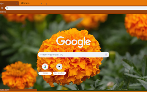 Marigold  from Chrome web store to be run with OffiDocs Chromium online