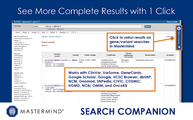 Mastermind Search Companion  from Chrome web store to be run with OffiDocs Chromium online