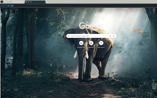 Matone the elephant patiently waiting at the forests edge  from Chrome web store to be run with OffiDocs Chromium online