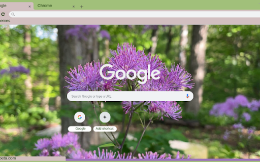 Meadow Rue  from Chrome web store to be run with OffiDocs Chromium online