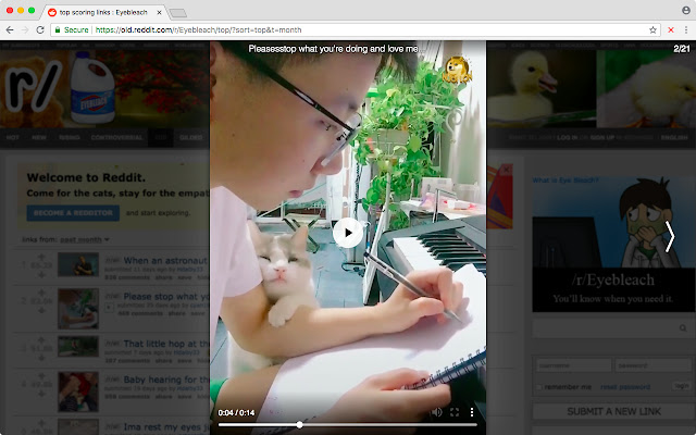 Media Carousel  from Chrome web store to be run with OffiDocs Chromium online