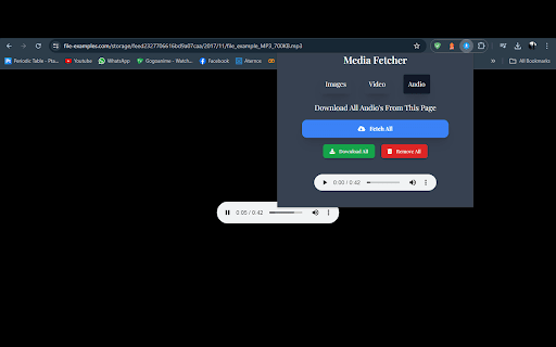 Media Fetcher  from Chrome web store to be run with OffiDocs Chromium online