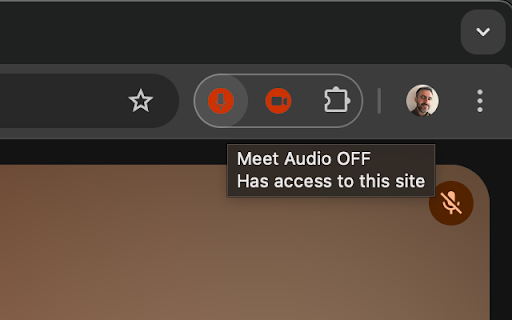Meet Audio  from Chrome web store to be run with OffiDocs Chromium online
