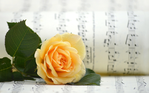 Melody in Bloom  from Chrome web store to be run with OffiDocs Chromium online