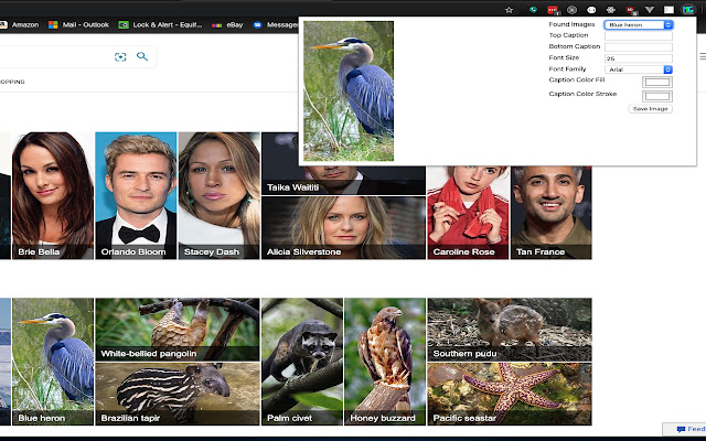 Meme Generator  from Chrome web store to be run with OffiDocs Chromium online