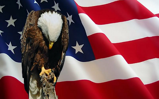 Memorial Day Browser Theme  from Chrome web store to be run with OffiDocs Chromium online
