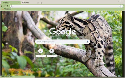 Meo rung  from Chrome web store to be run with OffiDocs Chromium online