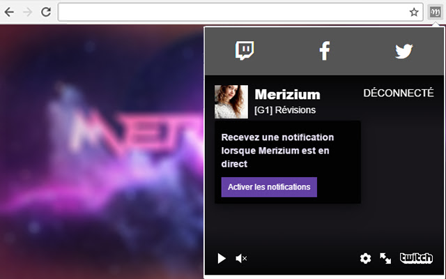 Merizium Extension  from Chrome web store to be run with OffiDocs Chromium online
