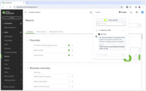 mesha Accounting Assistant  from Chrome web store to be run with OffiDocs Chromium online
