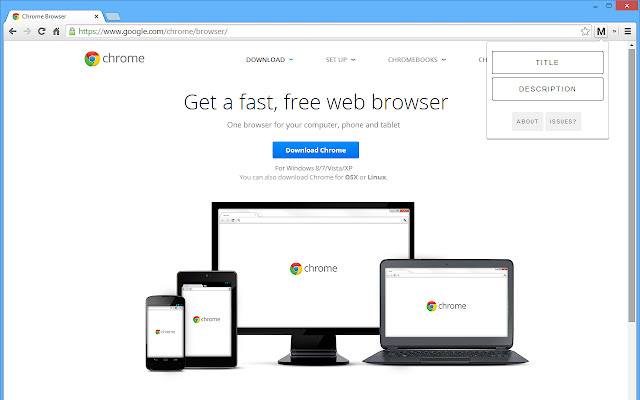 MetaCopy  from Chrome web store to be run with OffiDocs Chromium online