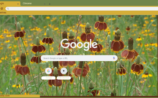 Mexican Hat  from Chrome web store to be run with OffiDocs Chromium online