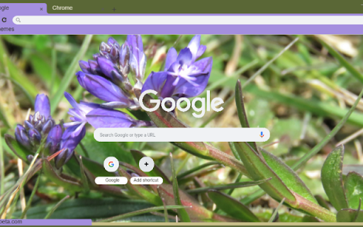 Milkwort  from Chrome web store to be run with OffiDocs Chromium online