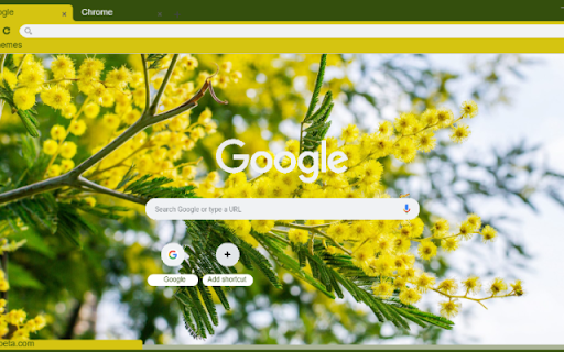 Mimosa  from Chrome web store to be run with OffiDocs Chromium online