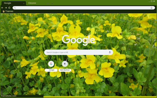 Mimulus  from Chrome web store to be run with OffiDocs Chromium online