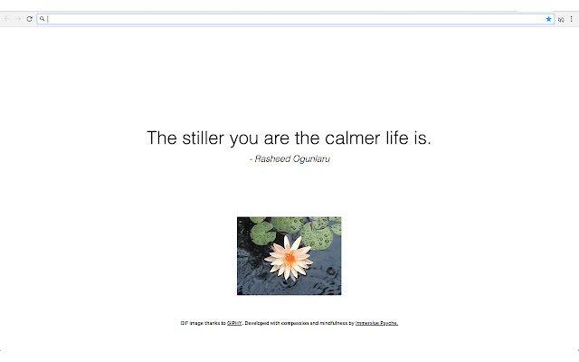 Mindfulness Quotes  from Chrome web store to be run with OffiDocs Chromium online