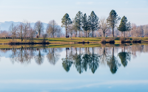 Mirror lakesurface  from Chrome web store to be run with OffiDocs Chromium online