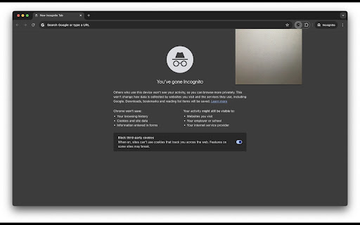 MirrorMe  from Chrome web store to be run with OffiDocs Chromium online